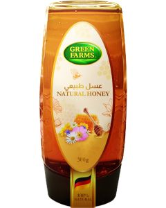 GF NATURAL HONEY SQUEEZABLE 10X300G     