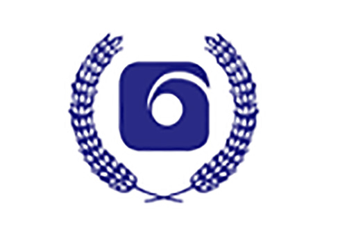 TILDA BROWN BASMATI 8X1KG